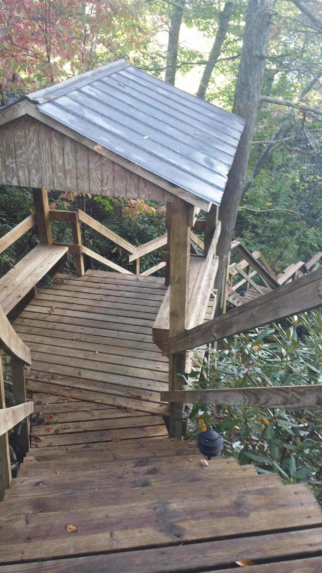 Metal roofed shelter over wooden steps on a wooded walkway — Skylight Repair & Installation work by our crew in Rainier